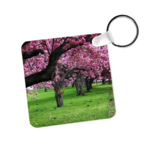 Aluminum Keychains - Anthony Dezenzio