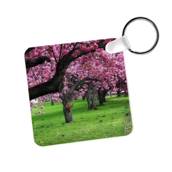Aluminum Keychains - Anthony Dezenzio
